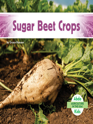 cover image of Sugar Beet Crops